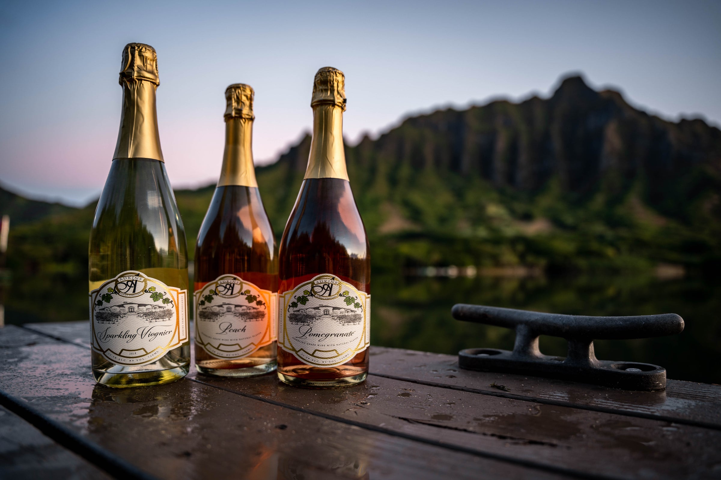 Sparkling Viognier | Adkins Family Vineyards